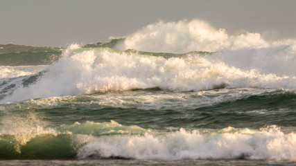 wilde Kangaroo Island Küste, Australien