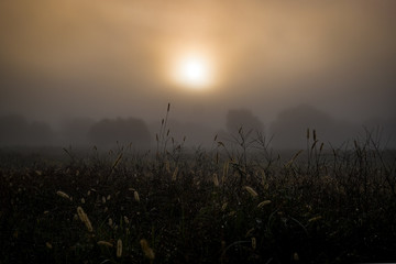 Obraz premium Sun at dawn above fields