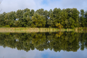 Fototapeta na wymiar Hrase pond lake in summer morning