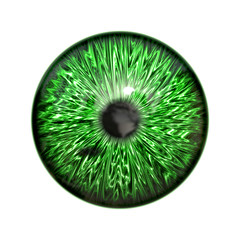 eye iris pupil 
