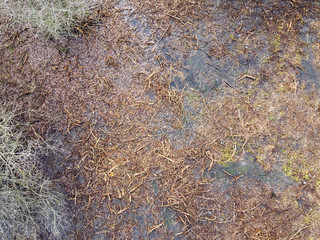 Aerial view of pond  in Savoy
