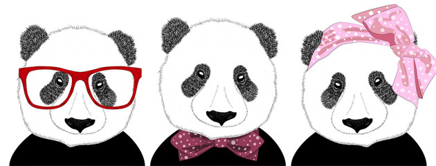 Hand drawn illustration of the head of a panda girl with a bow in the style of the 60s and a panda man in a tie, set.
