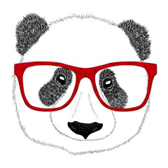 Portrait of Panda with glasses, hand-drawn illustration