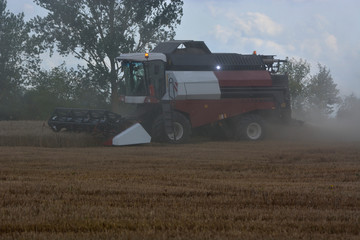 Obraz premium harvest in the field