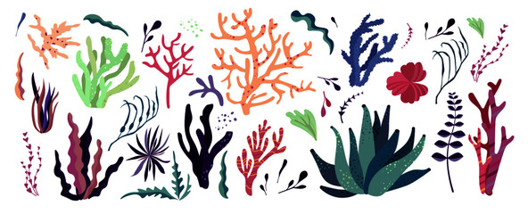 Fototapeta na wymiar Underwater sea world dwellers, flora and fauna elements. Algae, coral reef, kelp. Vector cartoon illustration.