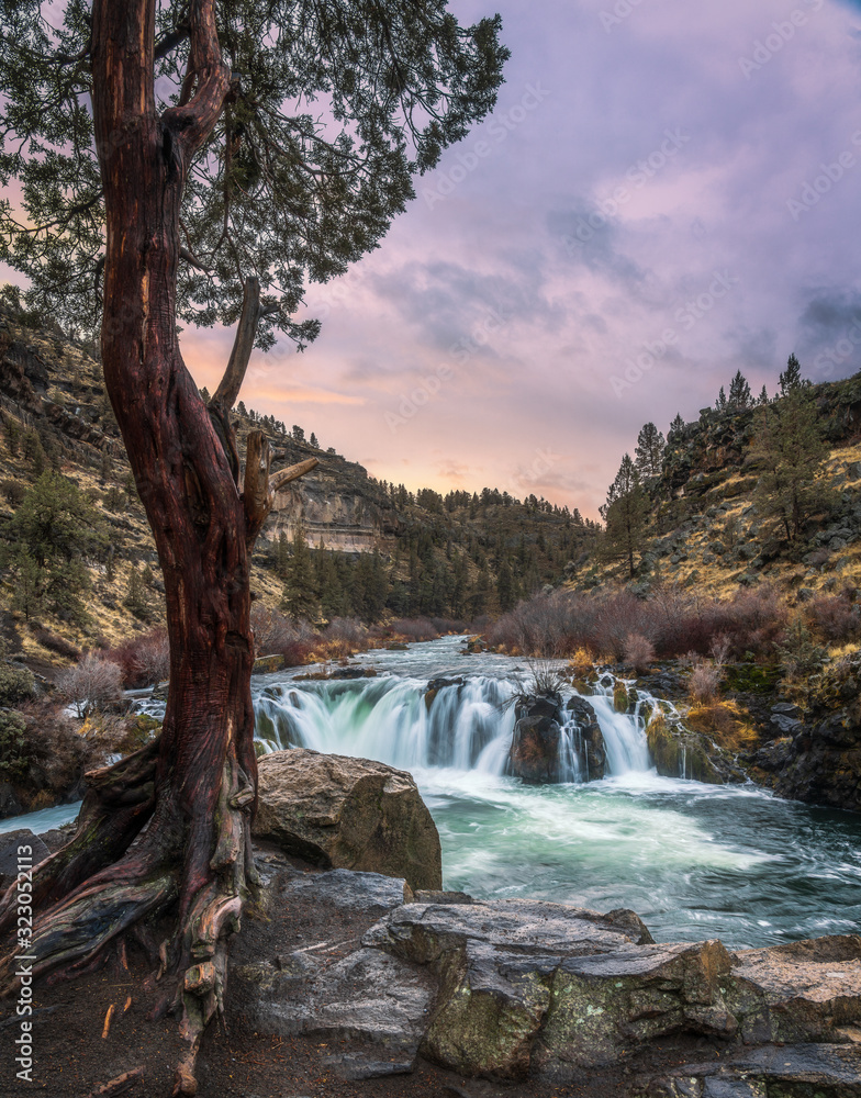 Canvas Prints Steelhead Falls in Oregon - Waterfall