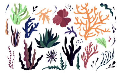 Underwater sea world dwellers, flora and fauna elements. Algae, coral reef, kelp. Vector cartoon illustration.