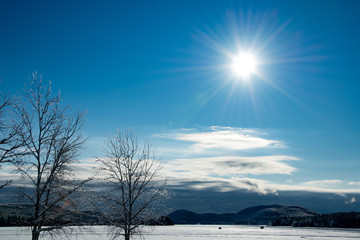 Fototapeta na wymiar winter landscape with trees and sun
