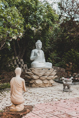 The statue of a seated Buddha on the lotus and the monk