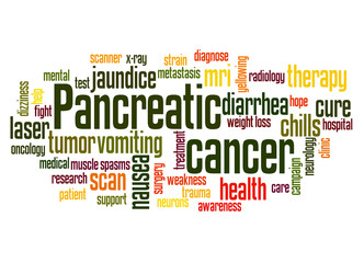 Fototapeta premium Pancreatic cancer word cloud concept 2