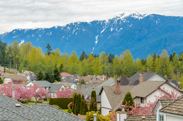 The roof of the houses.