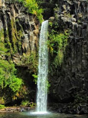 Obraz na płótnie Canvas waterfall in forest