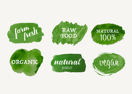 set of Organic label and natural label hand drawn stain brush. Tag and Sticker Farm fresh logo vegan food mark.