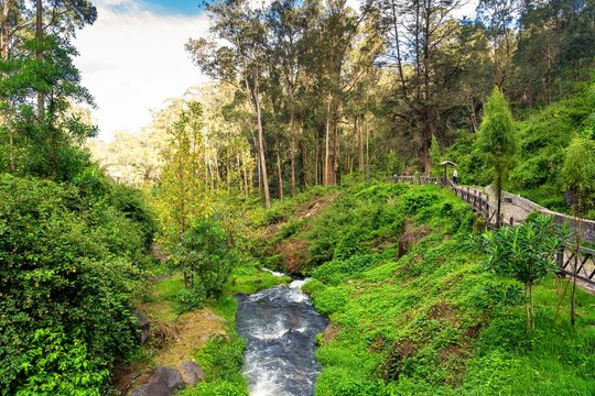 View of Peguche Waterfall in the mountains of Ecuador. It's surrounded by green forest full of vegetation