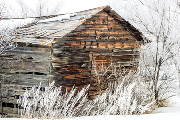 Rustic buildings and historic cars. Dorothy, Alberta, Canada