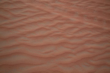 UAE. Desert  landscape