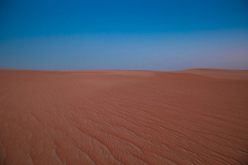UAE. Desert  landscape