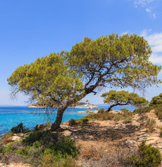 Fototapeta na wymiar Beautiful summer seascape view of coast at Sithonia on Halkidiki