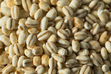 Raw Organic Italian Pearl Barley