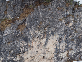 Dolomite stone wall with various shades of gray