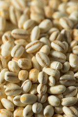 Raw Organic Italian Pearl Barley