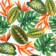 Heliconia and strelizia flowers vector illustration. Tropical orange plants background.