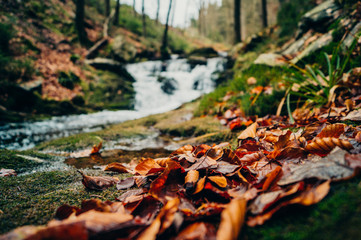 Suivons la Sawe à Solwaster