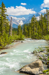 Majestic mountain river in Canada. Athabaska Falls in Alberta, Canada.