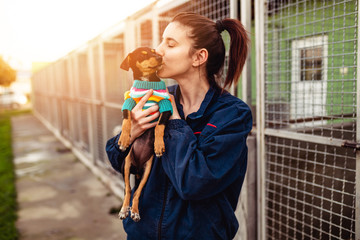 Young woman in dog shelter adopting a dog. - obrazy, fototapety, plakaty
