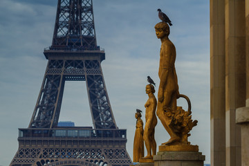 Fototapeta na wymiar View of the Eiffel Tower through the statues.