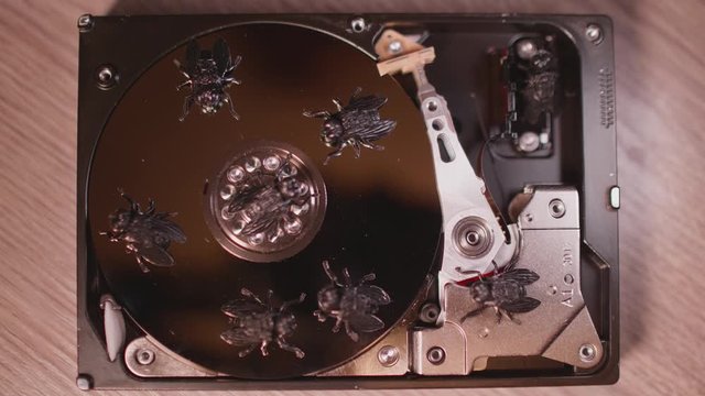 Hands remove lid from HDD case, can see plastic flies, like bugs. Joke, concept