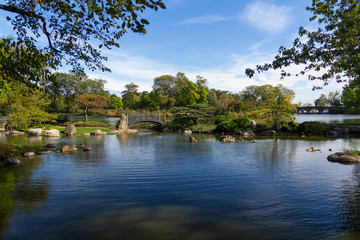 Fototapeta na wymiar Bridge and pond in the Garden of the Phoenix (Osaka Garden) in Chicago, IL