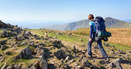 A hiker and their dog backpacking, walking in the mountains in the Lake District below Mardale Ill Bell with Yoke and Ill Bell in the distance.
