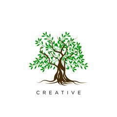 tree abstract logo desaign vector icon 