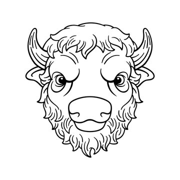 Coloring buffalo or bison bull head