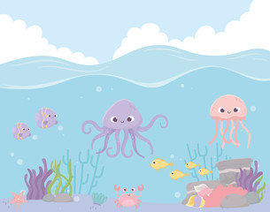 Fototapeta na wymiar octopus jellyfish fishes crab reef coral under the sea
