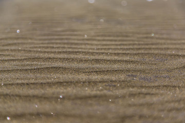 Schwarzer Sand - Muriwai Beach Auckland
