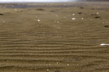 Schwarzer Sand - Muriwai Beach Auckland