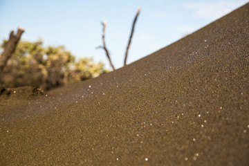 Schwarzer Sand - Muriwai Beach Auckland