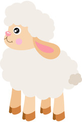 Cute sheep isolated on white