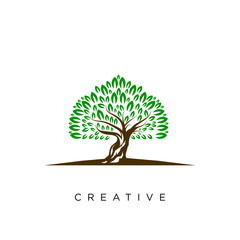 Obraz premium tree logo design vector