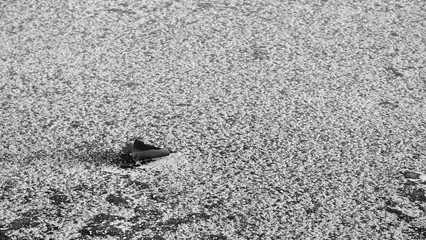  The first ice on the river. Winter background for your design.