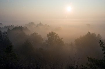 Dawn on a foggy morning, trees and hills in the fog, beautiful morning light and magical atmosphere.