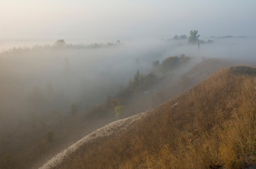 Dawn on a foggy morning, trees and hills in the fog, beautiful morning light and magical atmosphere.