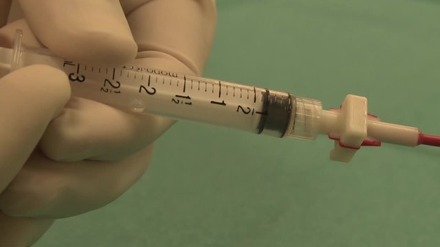 Seringe Images – Browse 143 Stock Photos, Vectors, and Video | Adobe Stock