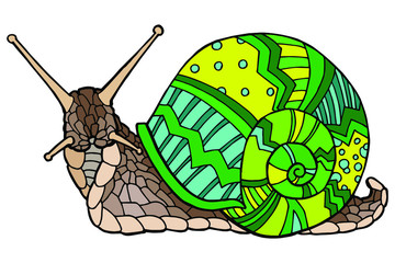 Vector illustration Hand drawing snails. Isolated on white. Cute snail with a yellow-green shell. The original print. Illustration for the children's book.