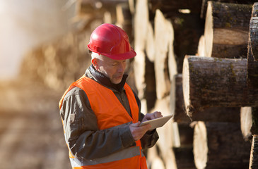 Lumber engineer working on tablet