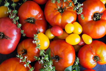 Tomatoes and basil sprigs on a dark background.
