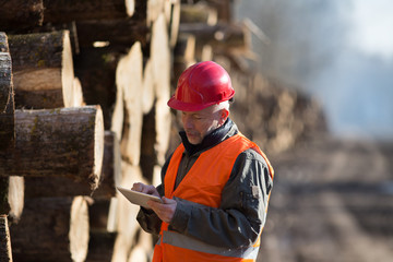 Lumber engineer working on tablet