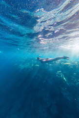 Fototapeta na wymiar Girl with a mask and a snorkel dives into the sea with corals and fish